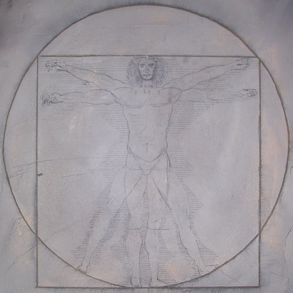 Leonardo_gross.jpg Leonardo_gross.jpg